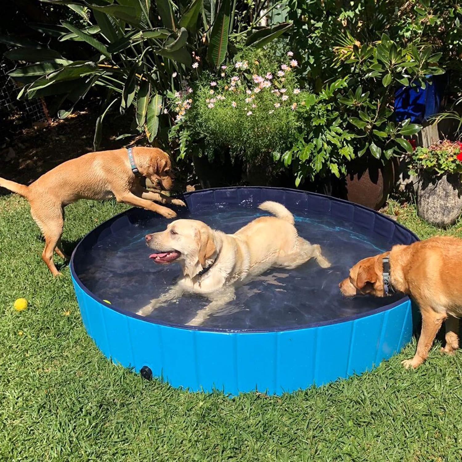 Foldable Dog Pool - Large Anti-Slip PVC Pet Swimming Pool (63"x12")